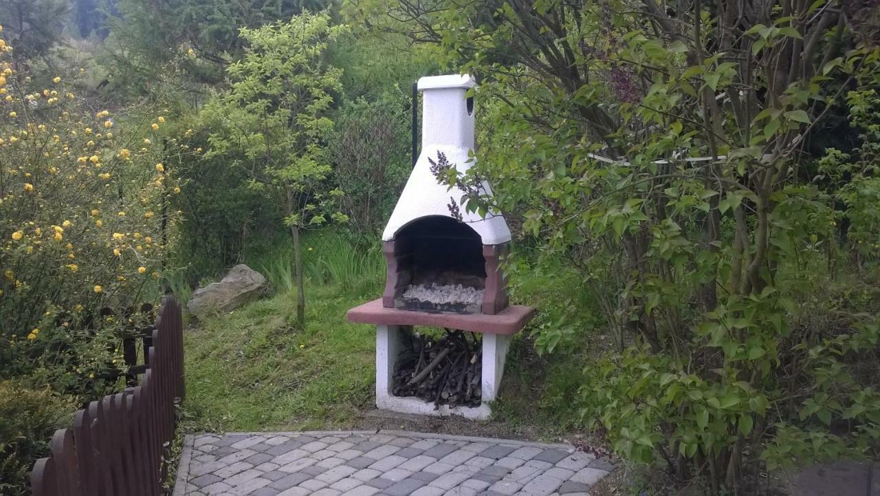 Gorski Domek W Lipowej W Beskidzie Zywieckim Lipowa Exteriér fotografie